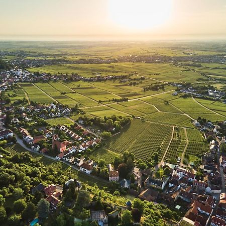 Appartamento Weinzeit13 Neustadt an der Weinstraße Esterno foto