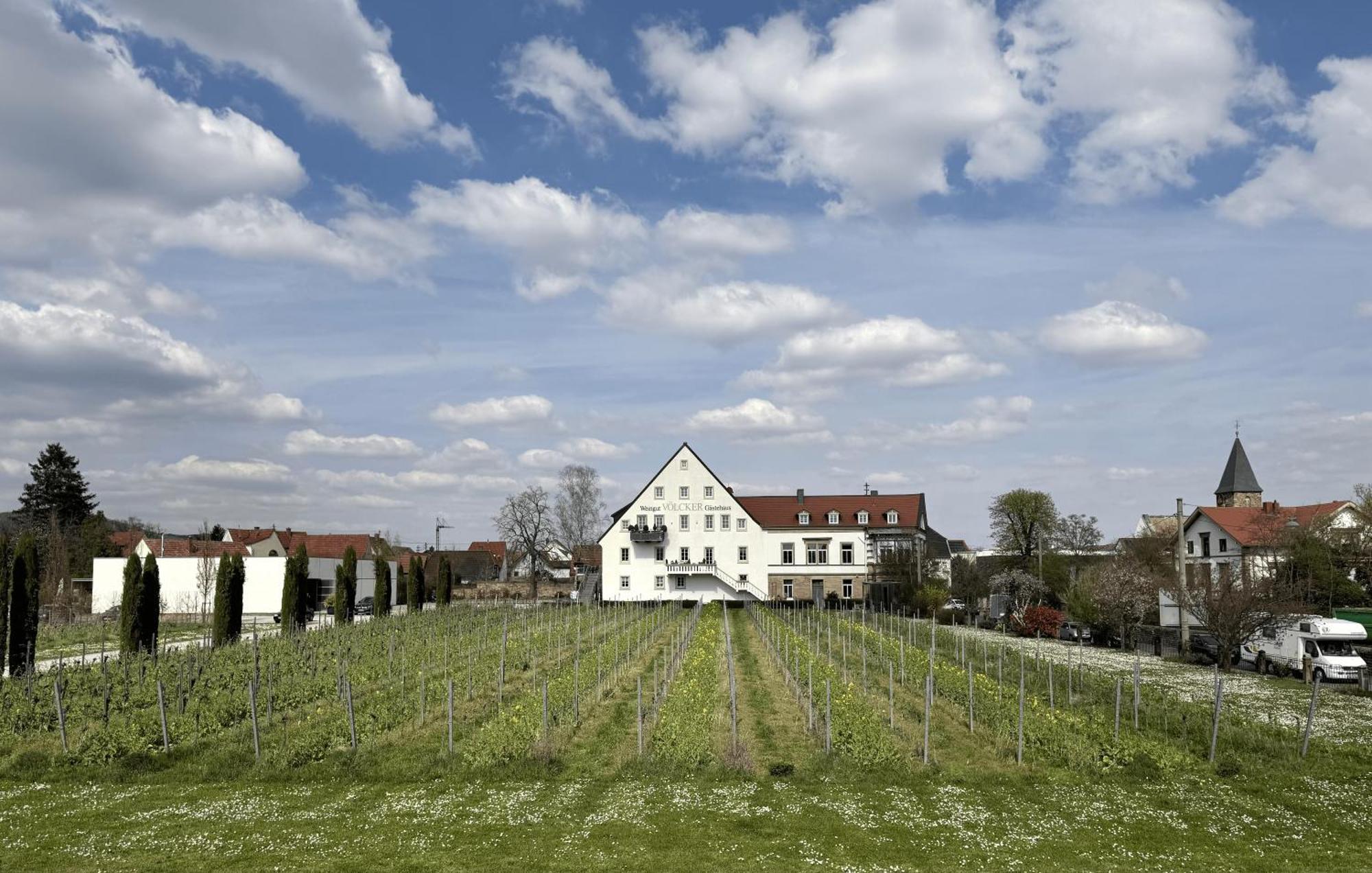 Appartamento Weinzeit13 Neustadt an der Weinstraße Esterno foto