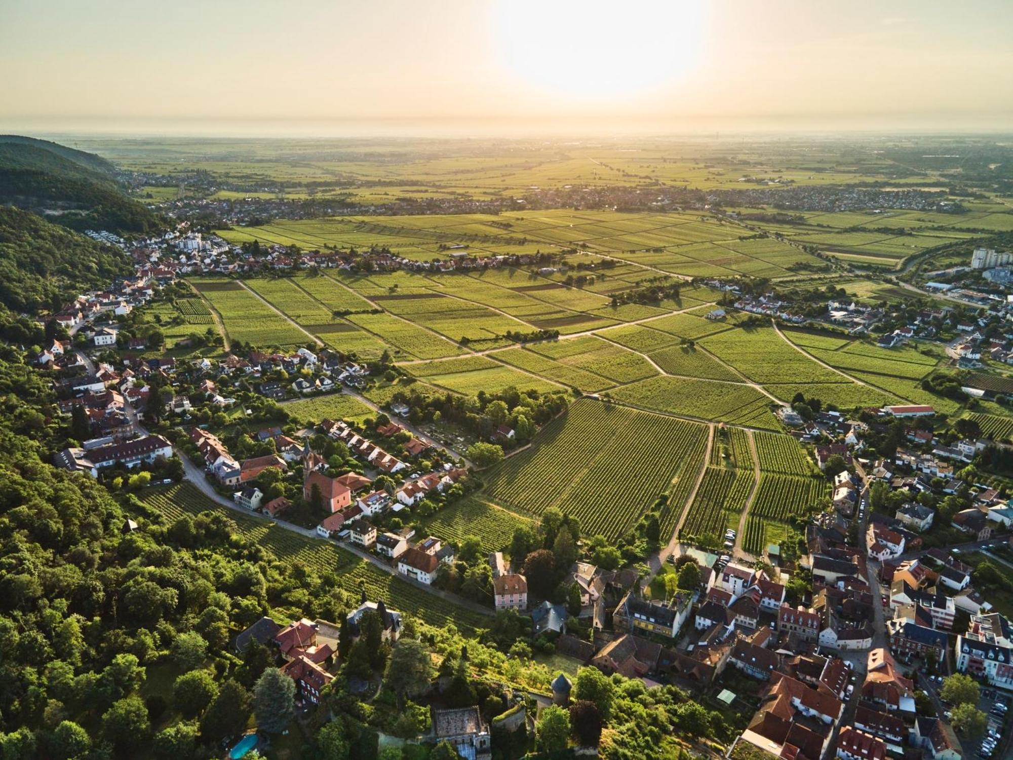 Appartamento Weinzeit13 Neustadt an der Weinstraße Esterno foto